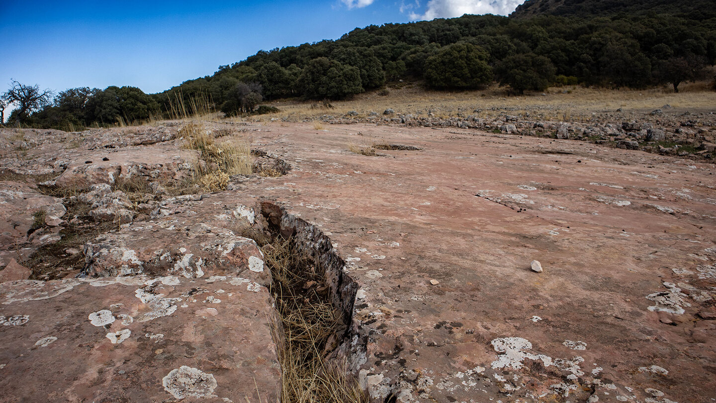 in den Felsplatten kann man leicht Fossilien entdecken