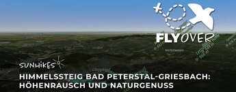 Himmelssteig Bad Peterstal-Griesbach: Höhenrausch und Naturgenuss im Schwarzwald - Flyover
