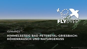 Himmelssteig Bad Peterstal-Griesbach: Höhenrausch und Naturgenuss im Schwarzwald - Flyover