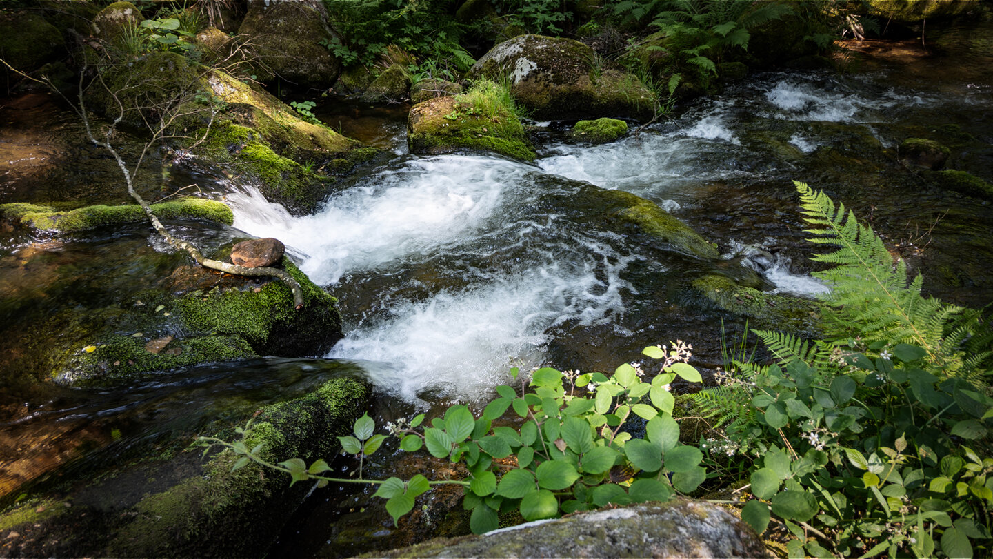 Kaskaden an der Eyach