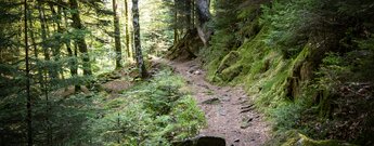 Wanderpfad im Eyachtal