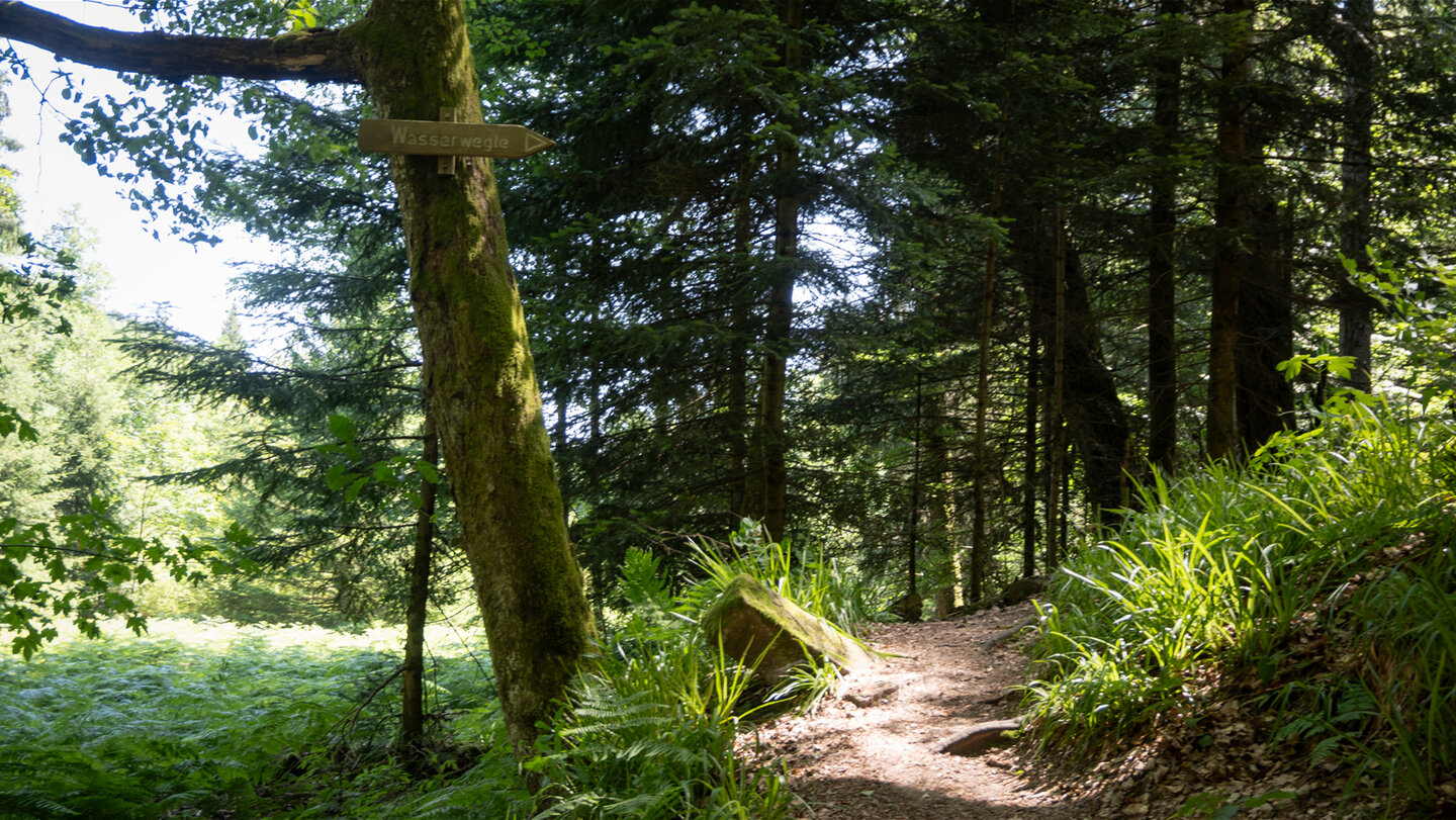 Wegweiser zum Wasserwegele