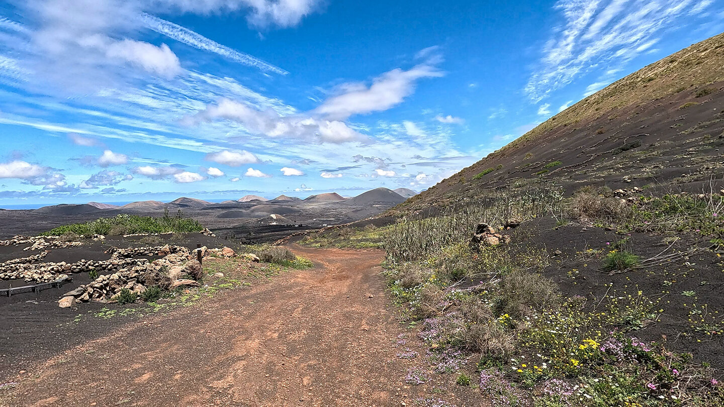 vom Wanderweg hat man einen Blick auf unzählige Vulkane