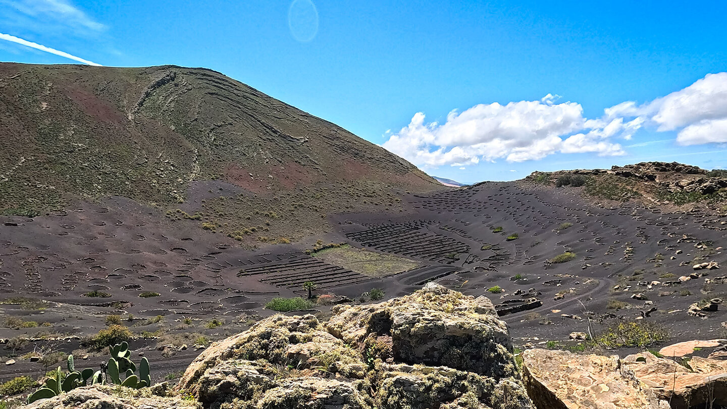 Blick über den Krater des Montaña de Guardilama