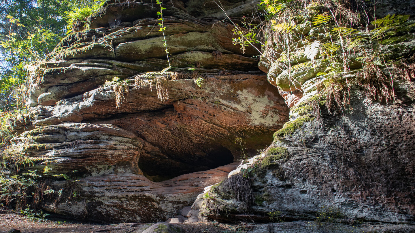 Höhlenformation am Wanderweg zum Schwalbenfels