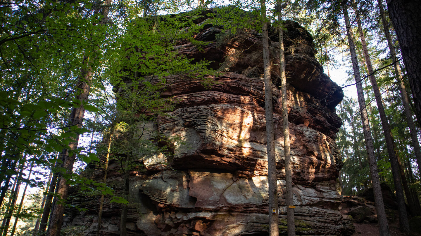 der imposante Hirschfelsen am Dahner Felsenpfad