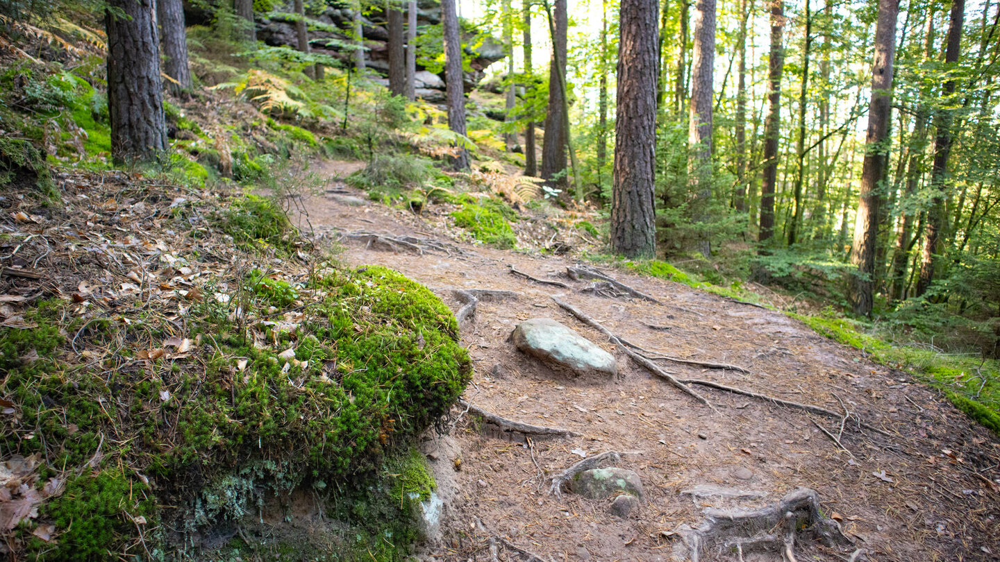 Wanderpfad zum Schlangenfelsen