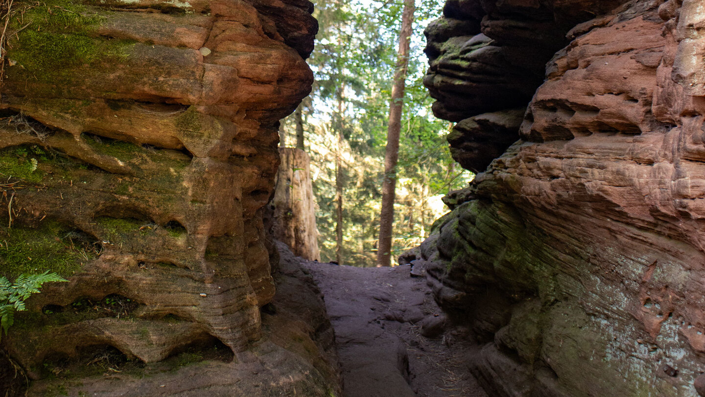 Felsdurchstieg am Dahner Felsenpfad