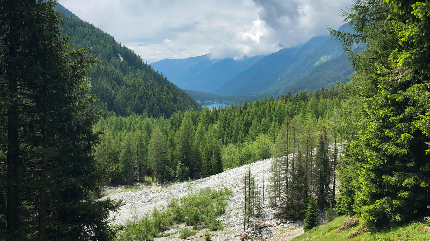 Blick über Wälder zum Antholzer See