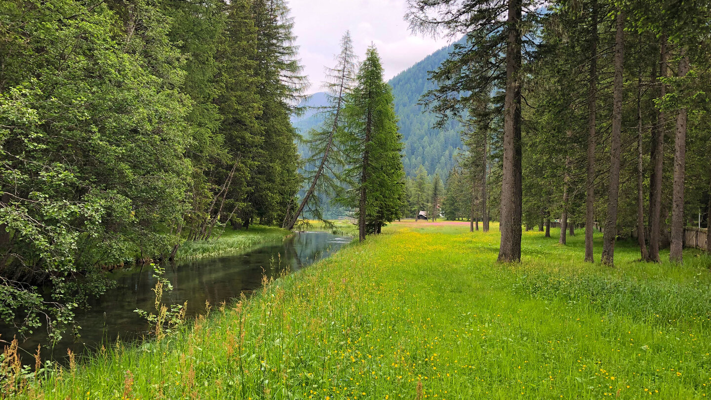 Antholzer Bach bei der Tiroler Hütte