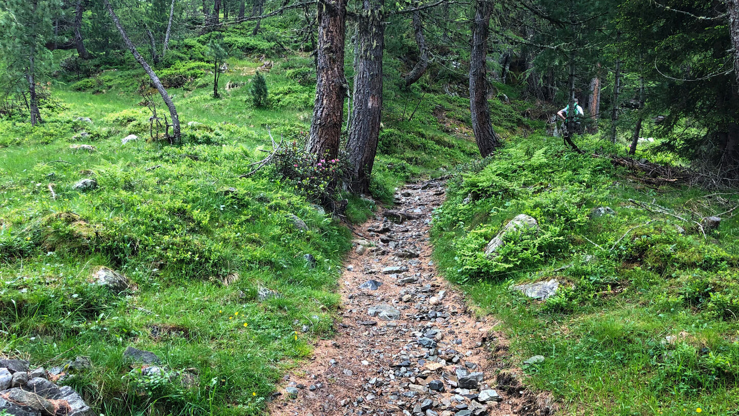 Wanderpfad im Naturpark Rieserferner-Ahrn