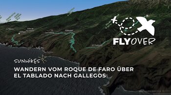 Durch die gewaltigen Schluchten des Nordens auf La Palma: Die anspruchsvolle Tour im 3D-Flyover