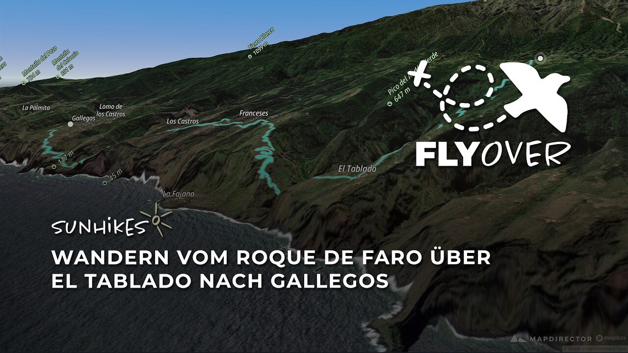 Durch die gewaltigen Schluchten des Nordens auf La Palma: Die anspruchsvolle Tour im 3D-Flyover