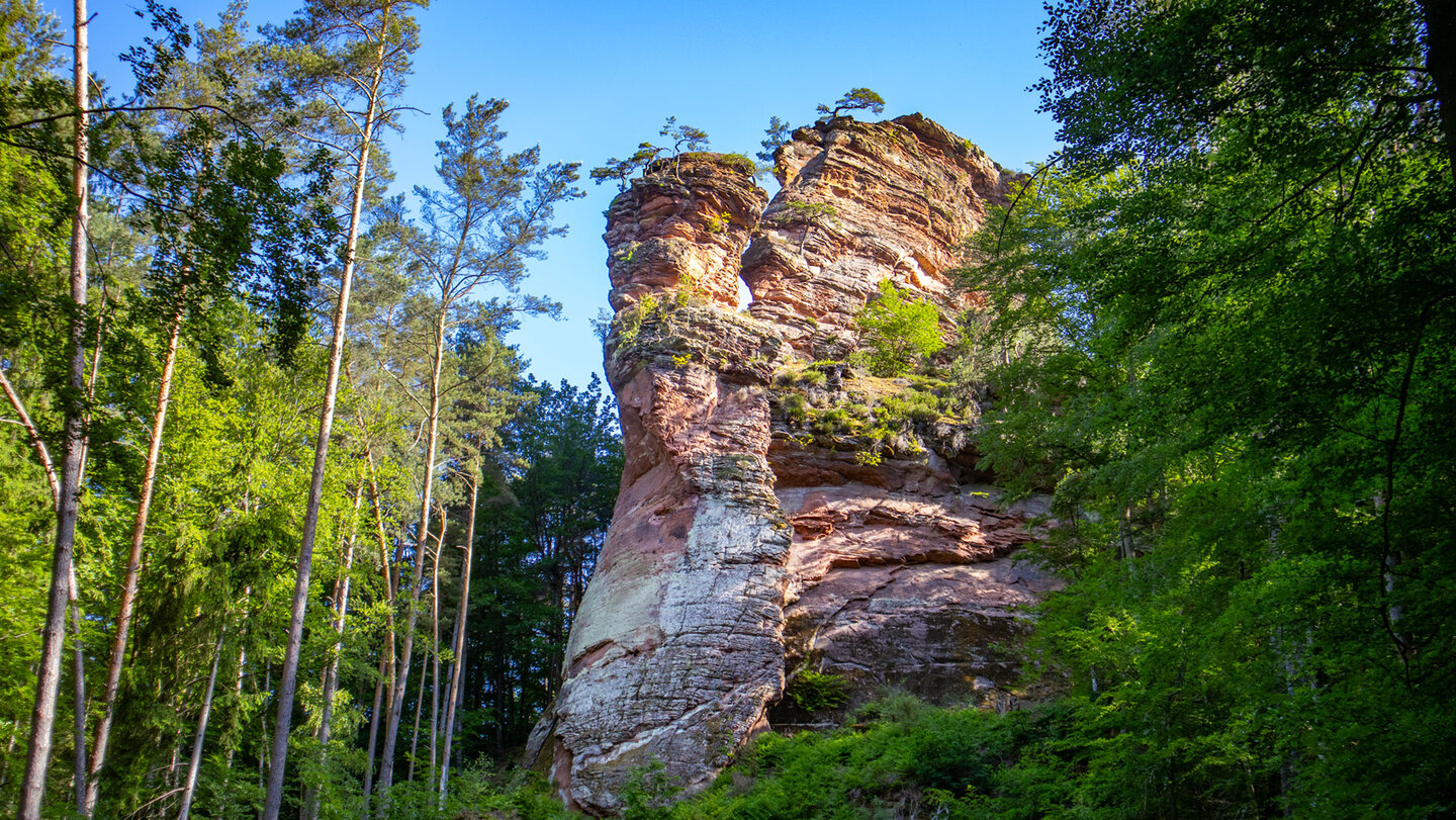 Stephanstürme bei Hauenstein im Pfälzerwald