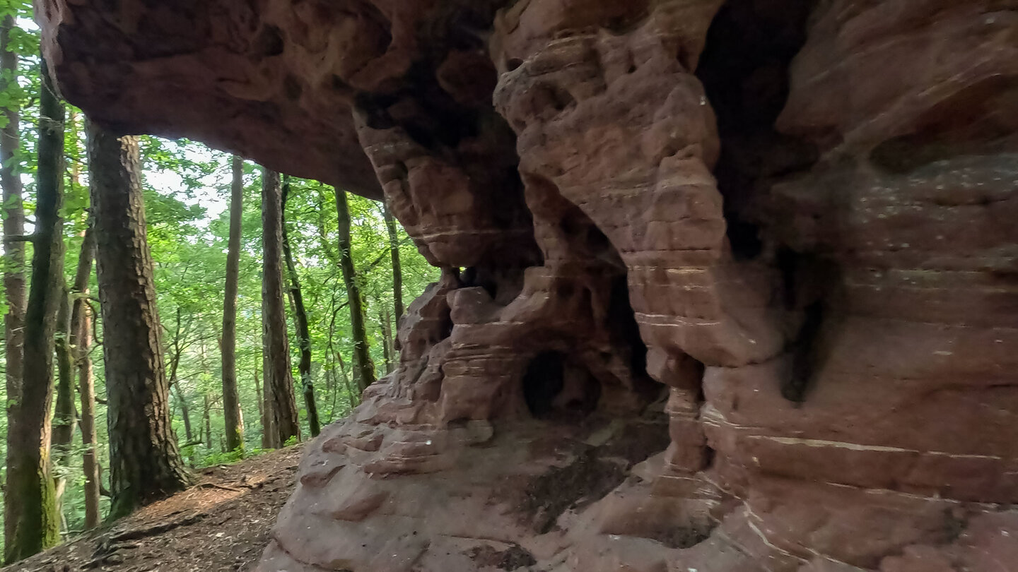 Bizarre Felsen auf dem Wanderweg der Geiersteine-Tour Bizarre Felsen auf dem Wanderweg der Geiersteine-Tour
