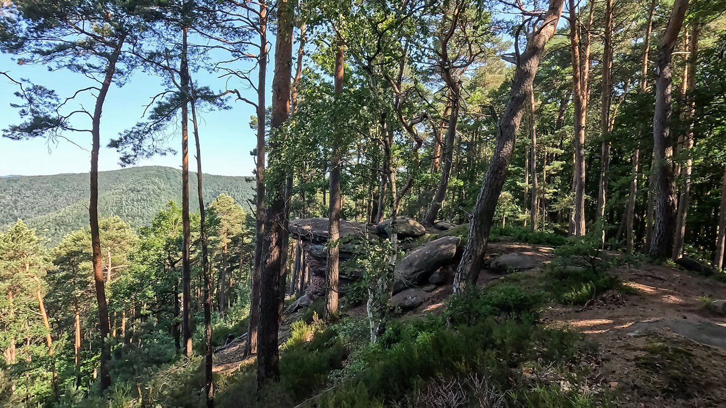 Aussichen auf den Pfälzerwald von der Geiersteine-Tour Aussichen auf den Pfälzerwald von der Geiersteine-Tour