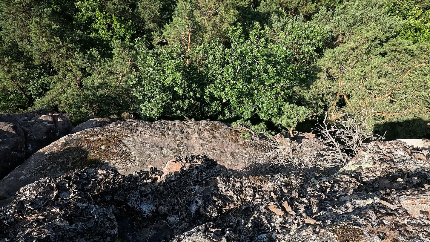 Das Buntsandsteinriff der Geiersteine nahe Lug und Wernersberg Das Buntsandsteinriff der Geiersteine nahe Lug und Wernersberg