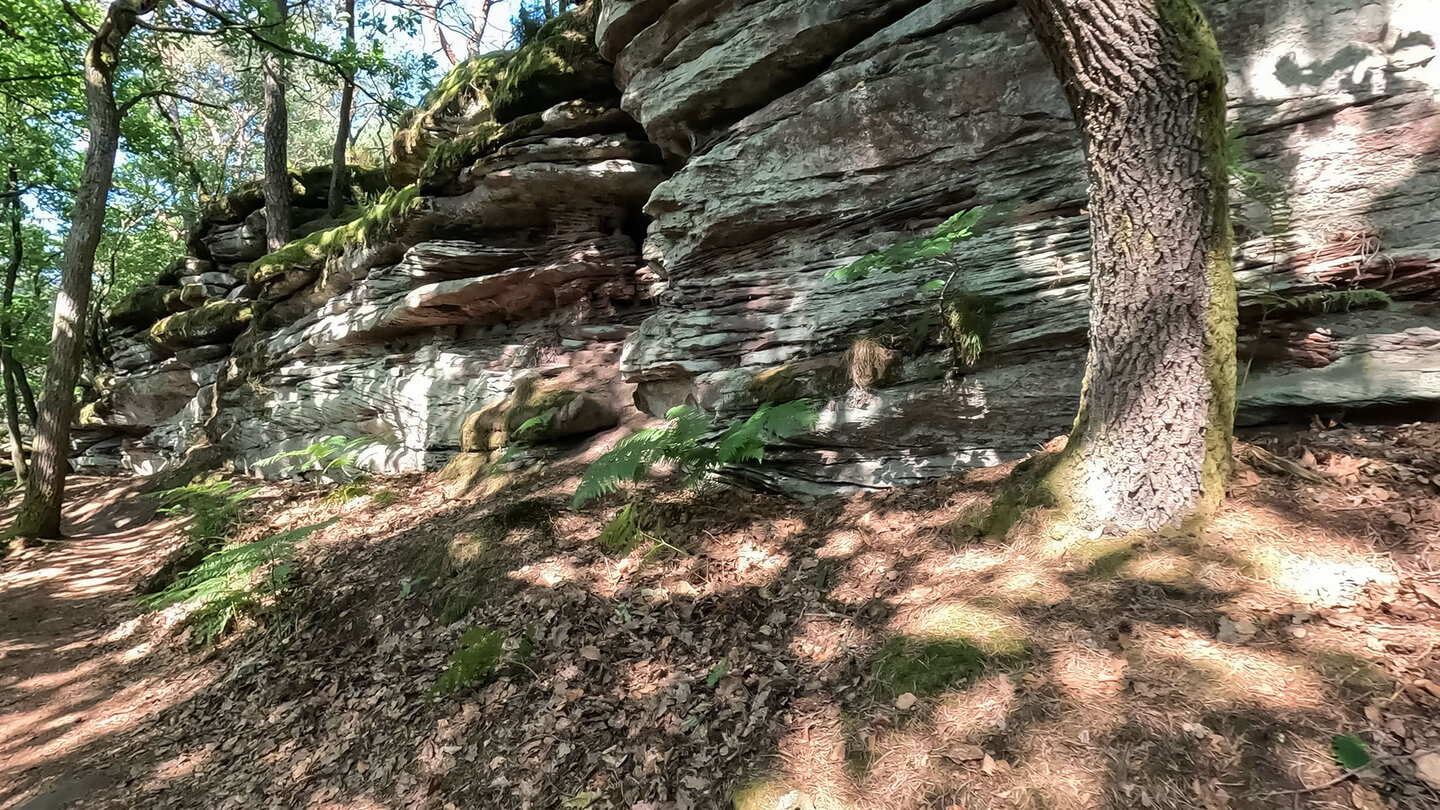 Sensationell schöne Felsen entlang der Wegstrecke zum Felsen Runder Hut Sensationell schöne Felsen entlang der Wegstrecke zum Felsen Runder Hut