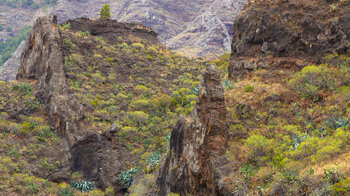 Basaltwände in der Schlucht Barranco Las Lajas