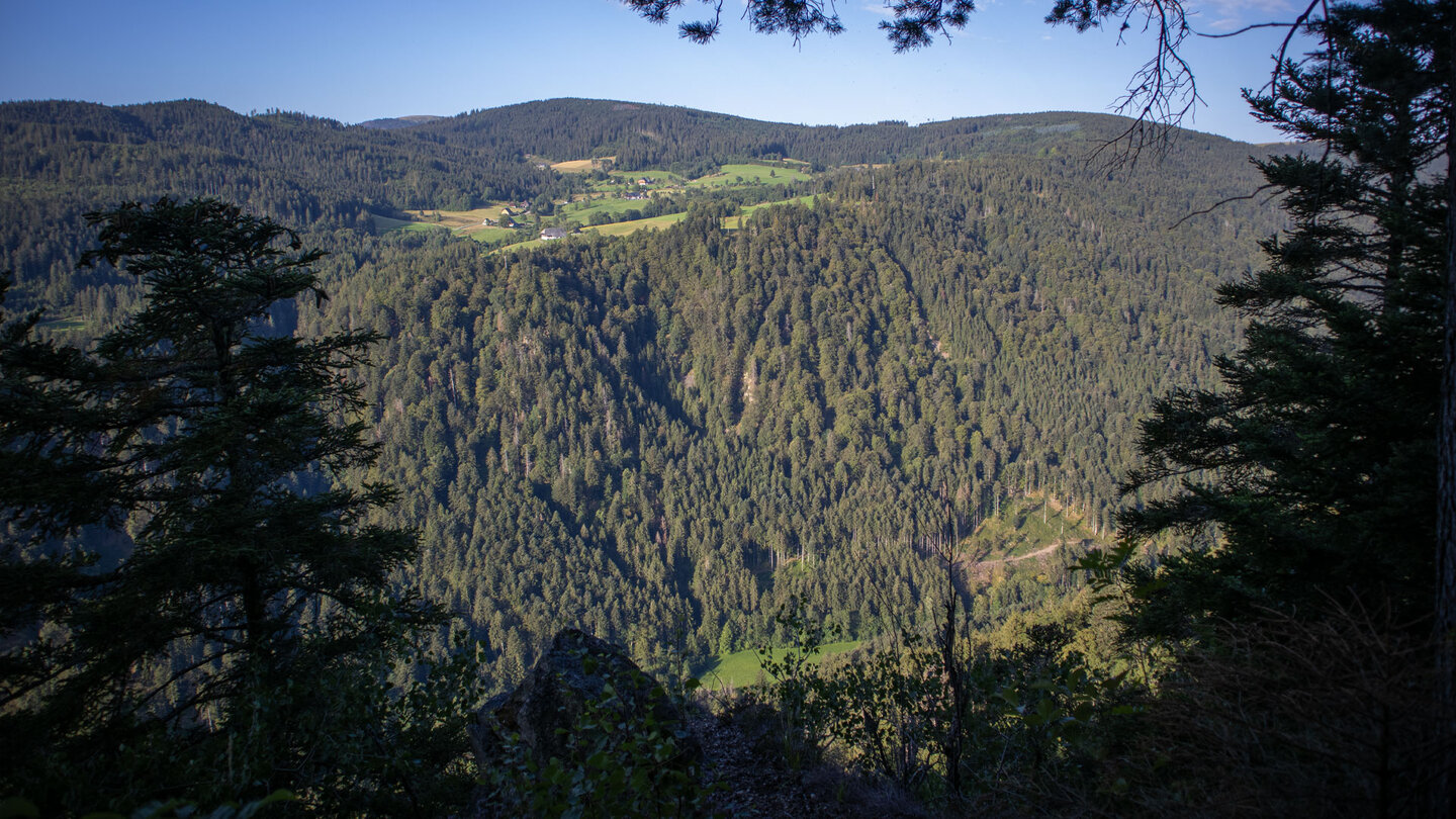 Blick vom Pikettfelsen über das Höllental