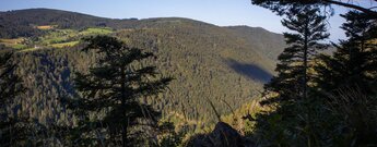 Blick über die Wälder und das Höllental vom Pikettfelsen