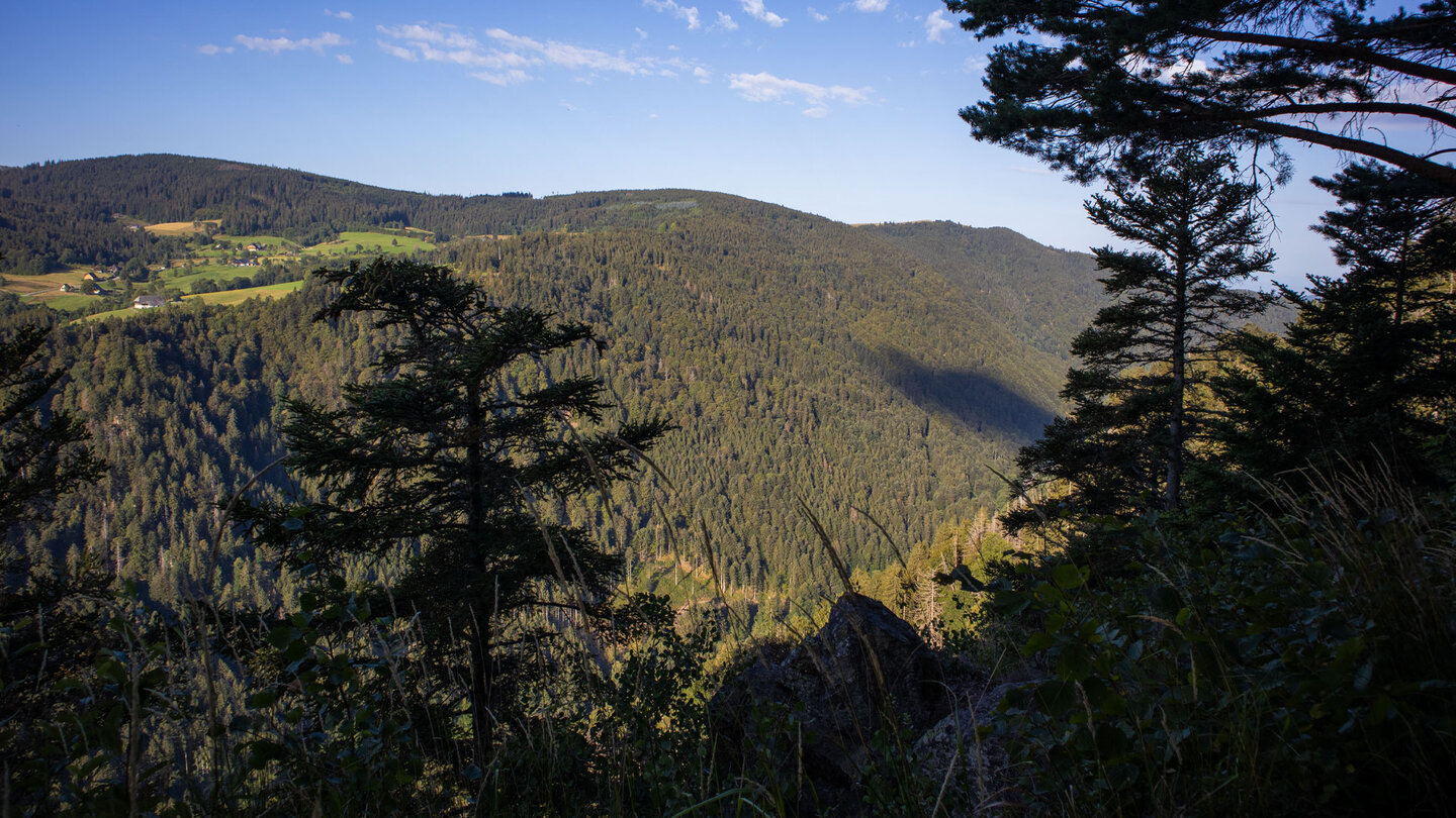 Blick über die Wälder und das Höllental vom Pikettfelsen