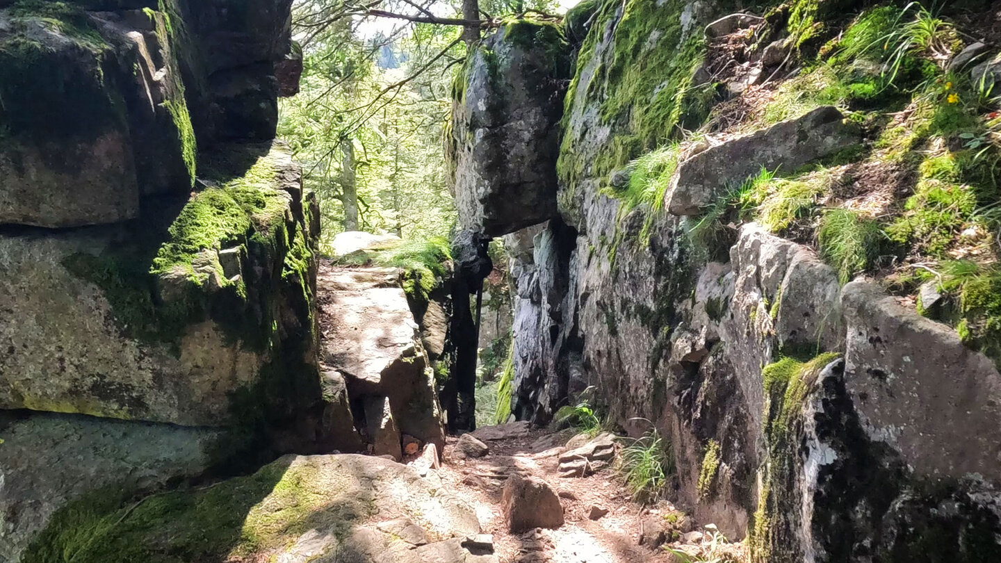 Felsportal bei den Hirschsteinen Felsportal bei den Hirschsteinen