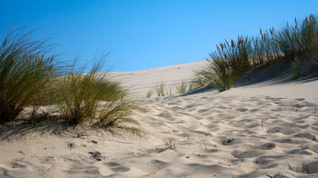 Dune du Pilat bei Arcachon