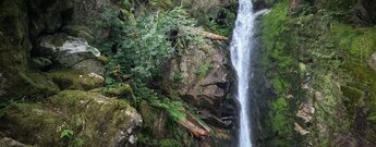 Wasserfall Cascade du Rudlin in den Vogesen
