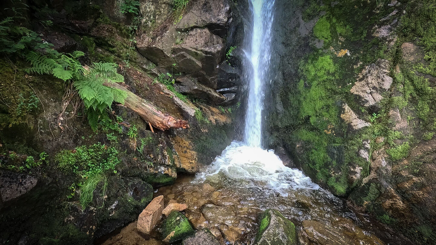 der 23 Meter hohe Rudlin-Wasserfall in den Vogesen