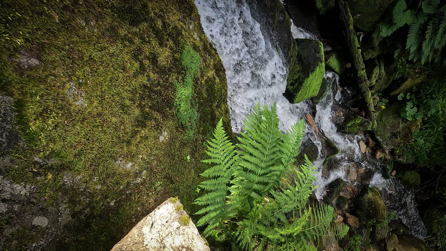 Wasserfall Cascade du Rudlin in den Vogesen