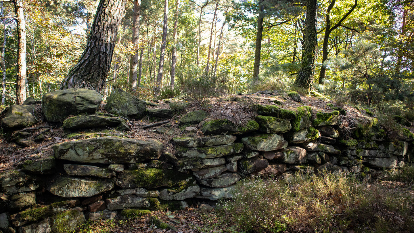 Altes Gemäuer der Fliehburg Heidenschuh am 3-Burgen-Weg bei Klingenmünster.