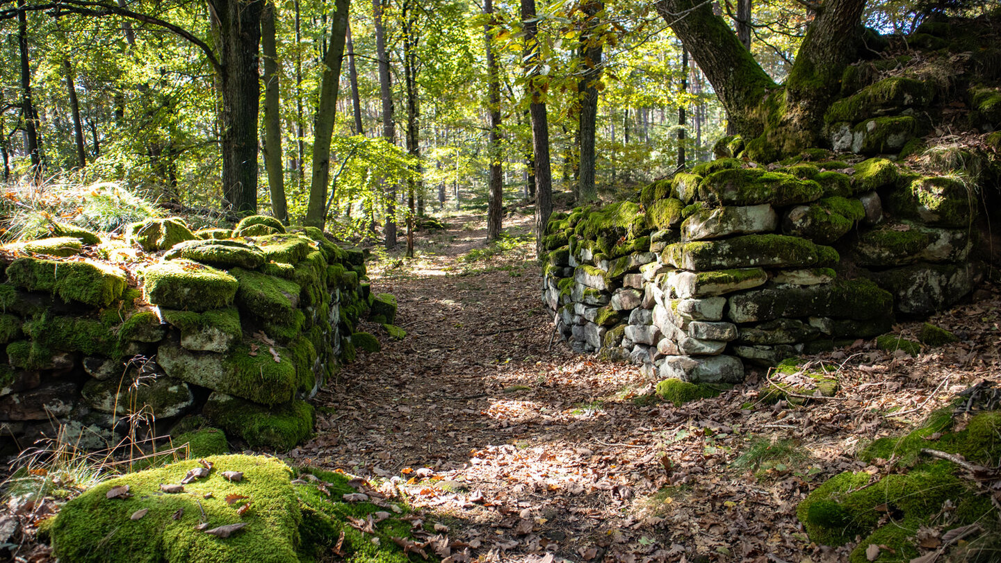Ruine Heidenschuh auf dem Treutelsberg.