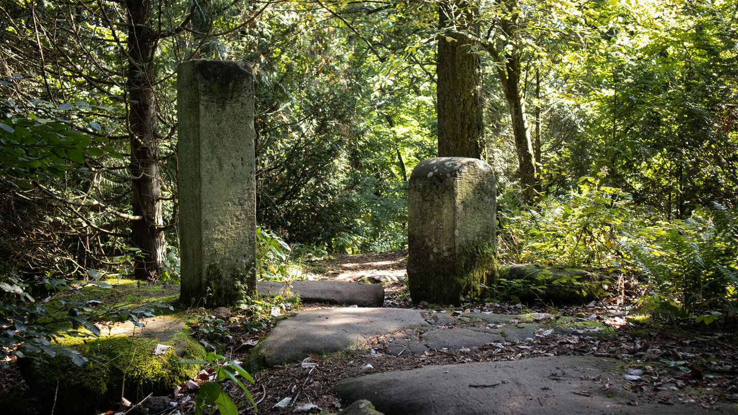 Buntsandsteinstelen am Wanderweg auf dem Treutelsberg bei Klingenmünster.