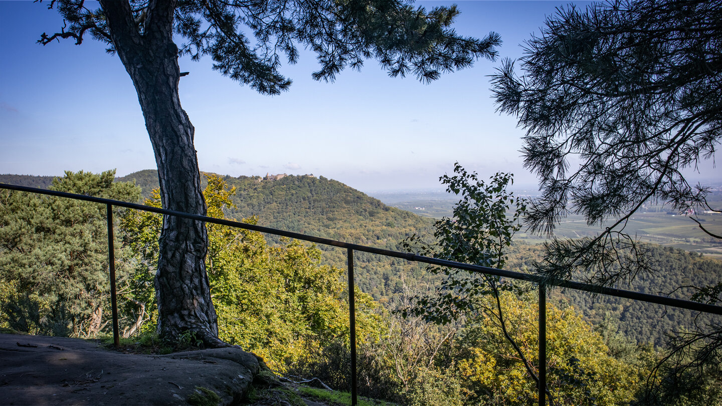 Blick vom Aussichtspunkt beim Heidenschuh zur Madenburg auf dem Rothenberg und die Rheinebene.