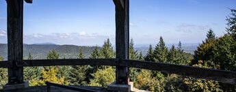 Blick vom Martinsturm auf dem Treutelsberg über den Pfälzerwald.