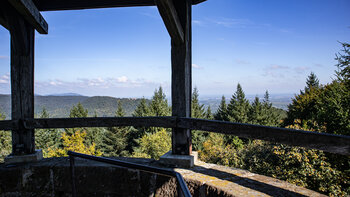 Blick vom Martinsturm auf dem Treutelsberg über den Pfälzerwald.