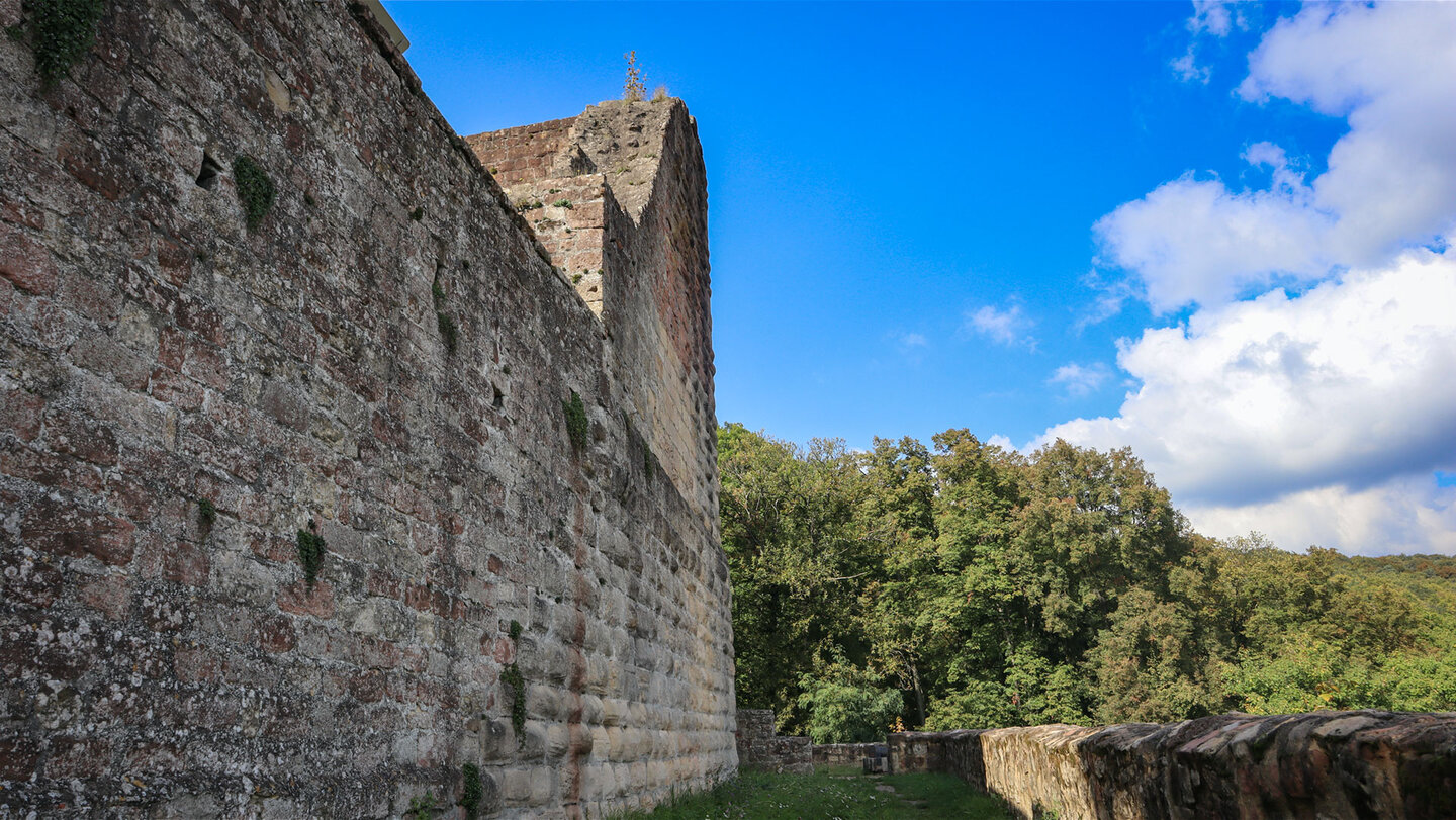 Zwingermauer der Burg Landeck bei Klingenmünster