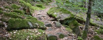 Wanderung auf der Eiszeittour durch das Kammerloch KarBlick auf den Huzenbacher See