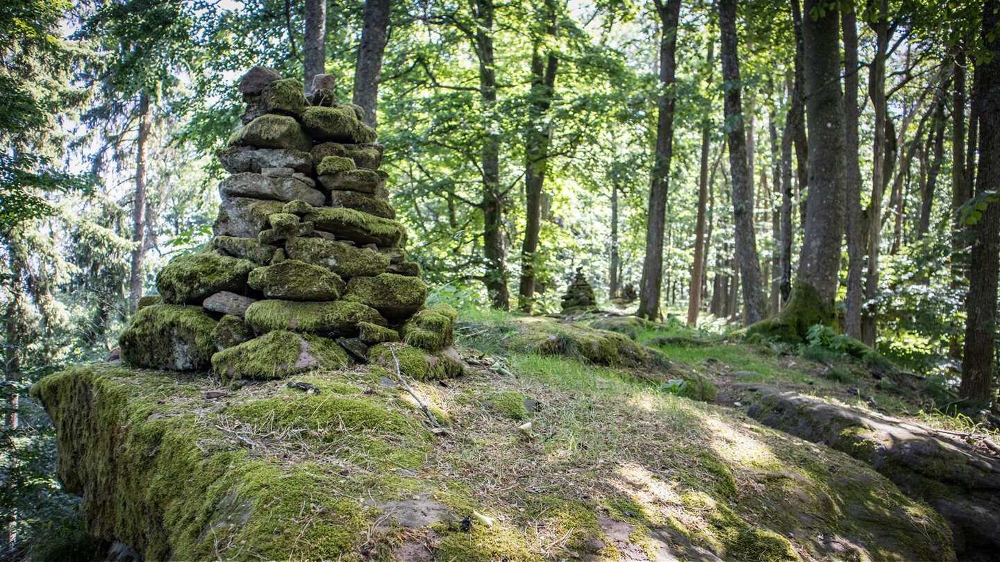 Kammwanderweg über den Löffelsberg.