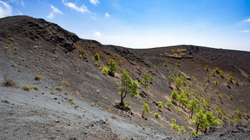 Blick über den AussichtKrater des Volcán San Antonio