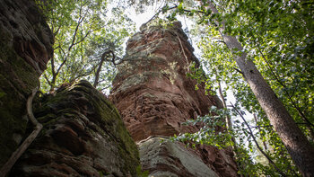 Reichenbacher Turm und Eilöchelfels ragen Seite an Seite aus dem Wald.