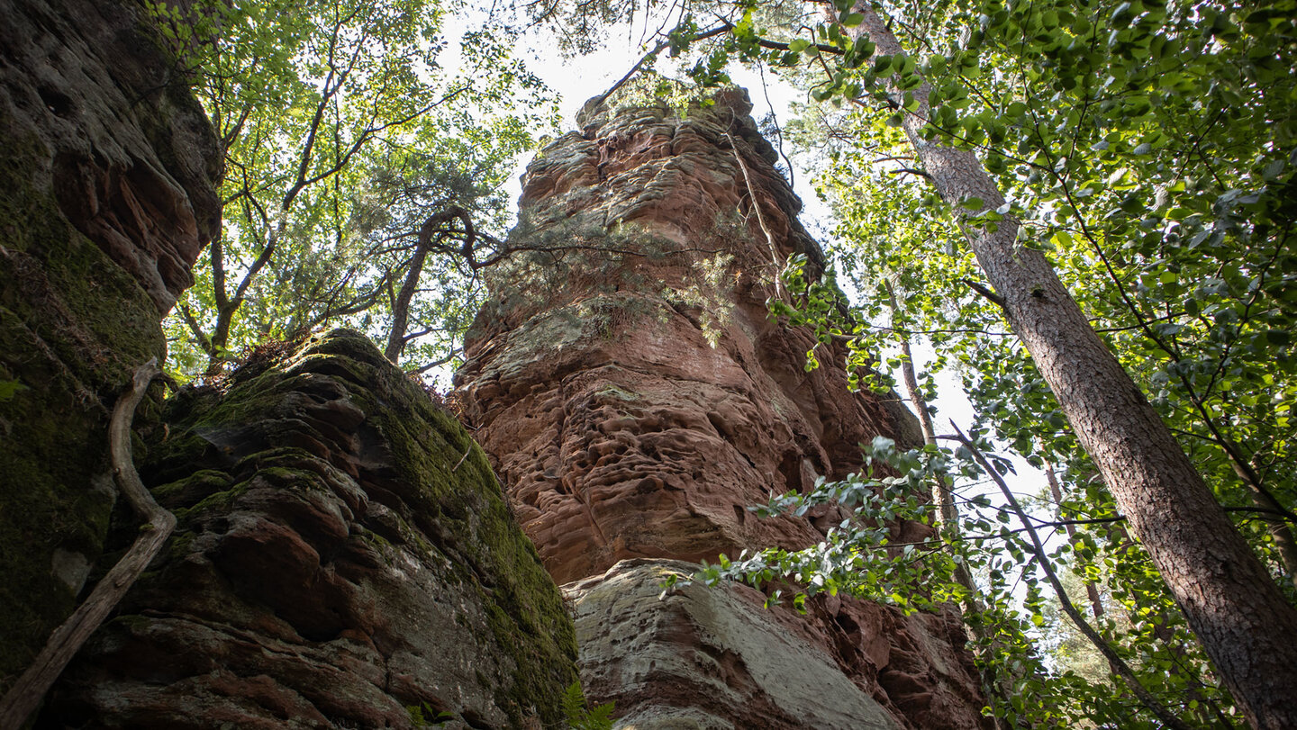 Reichenbacher Turm und Eilöchelfels ragen Seite an Seite aus dem Wald.