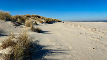 Dünen und Strände auf Langeoog
