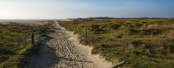 am Lehrpfad Osterhook kann die Landschaft Langeoogs entdecken
