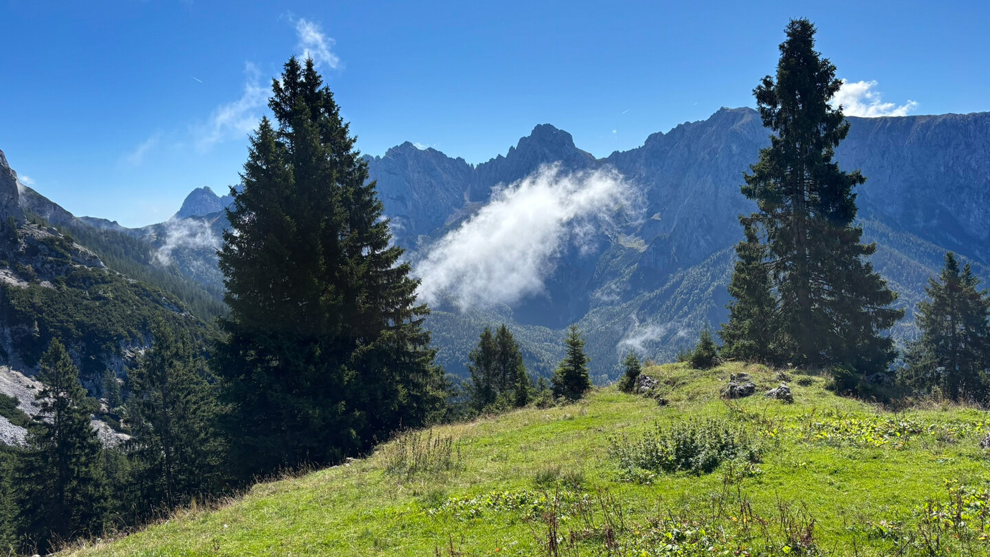 Aussicht auf die mächtigen Gipfel des Wilden Kaisers