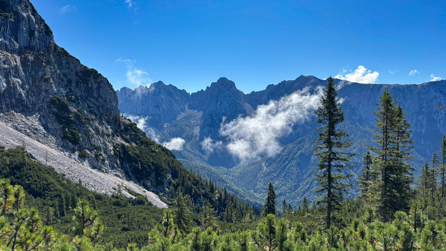 über Latschenkiefern und Schrofen hinweg blickt man auf den Wilden Kaiser