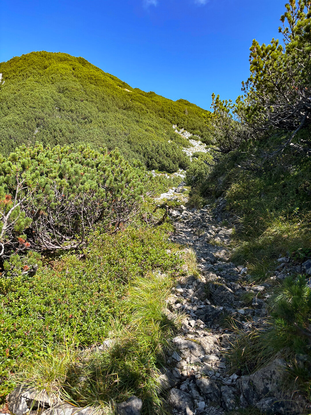 steiniger Wegabschnitt zum Bergsattel Vogelbad