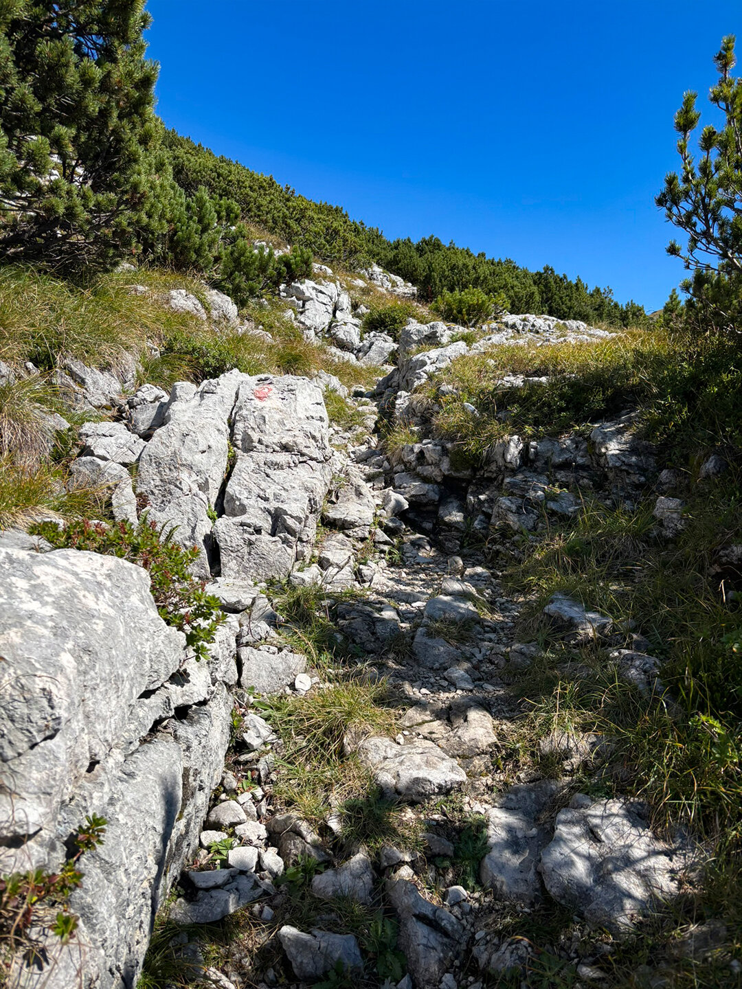 Wanderpfad zum Vogelbad auf 1.860 Metern wird steiler