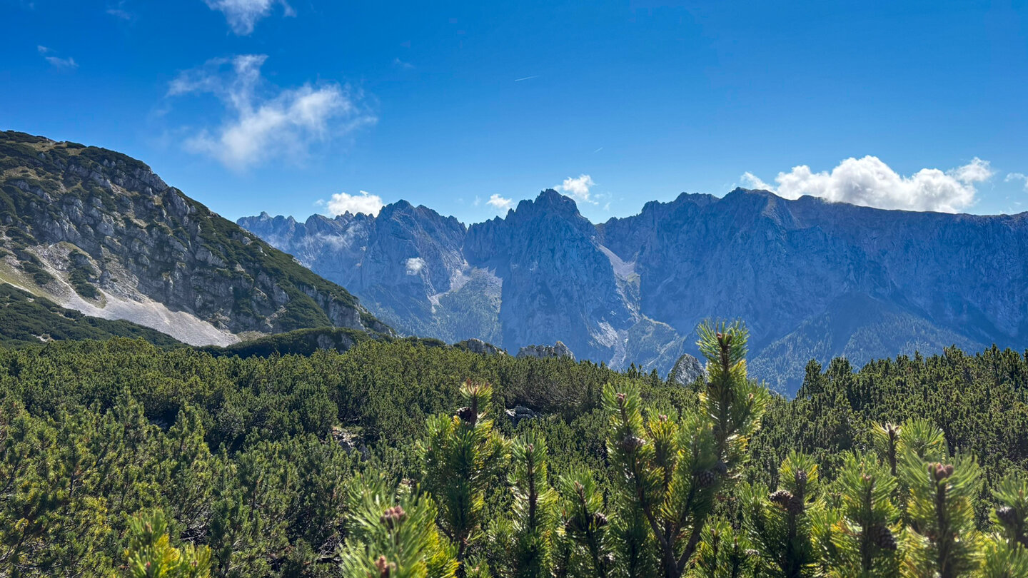Bergpanorama des Wilden Kaisers